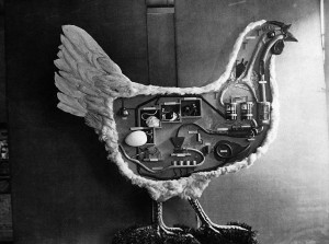 Una gallina robot, ejemplo para saber cómo invertir en bolsa