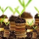 Razones para invertir. La imagen muestra dinero semienterrado que germina y florece en forma de planta.